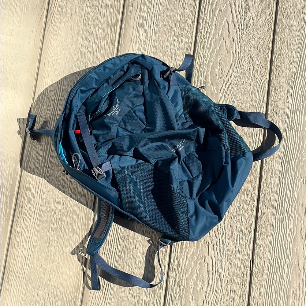 Osprey Daylite Travel Backpack